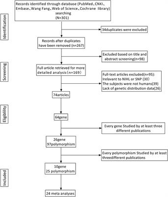 Polymorphisms and NIHL: a systematic review and meta-analyses